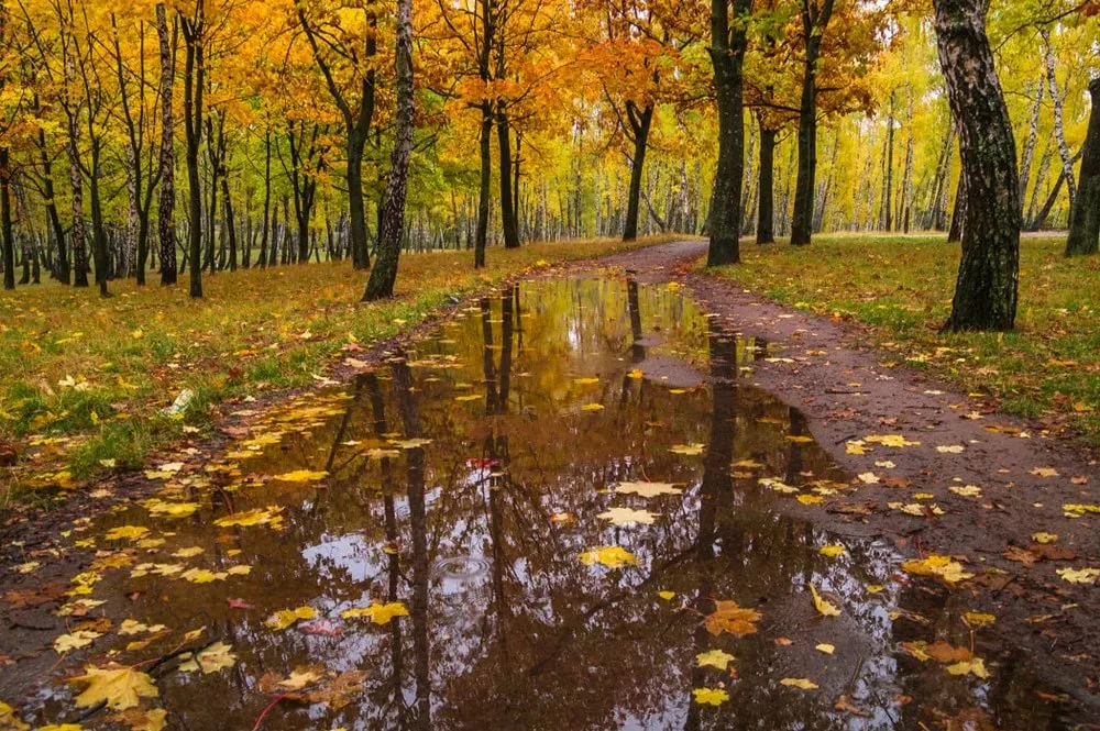 Погода на 12 октября на брянской Красногорщине