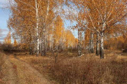Народный календарь. Приметы