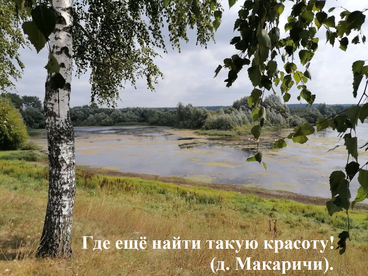 Проект «На земле родной»