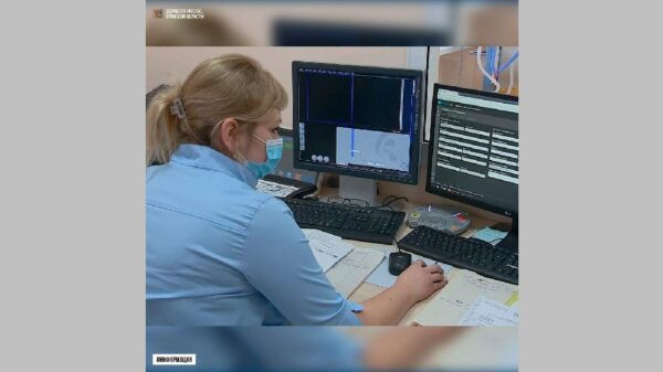 В поликлиниках брянского региона внедрен цифровой помощник врача «ТОП-3»