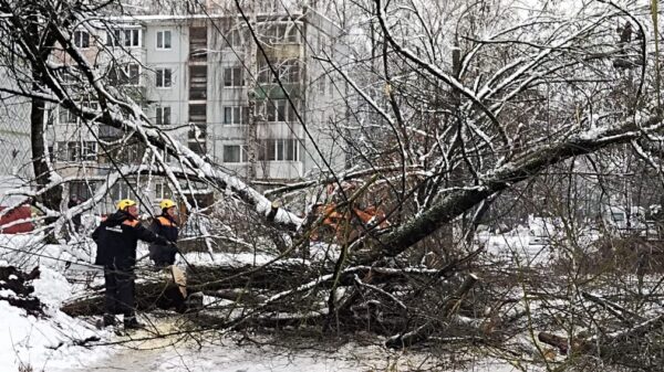 В Брянске проводятся работы по ликвидации последствий второго снегопада