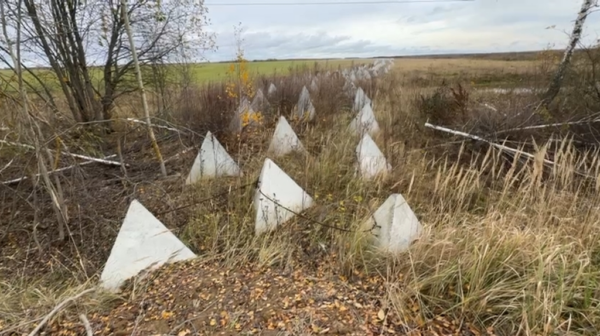 Военный корреспондент Сладков раскрыл тайну безопасности брянского региона