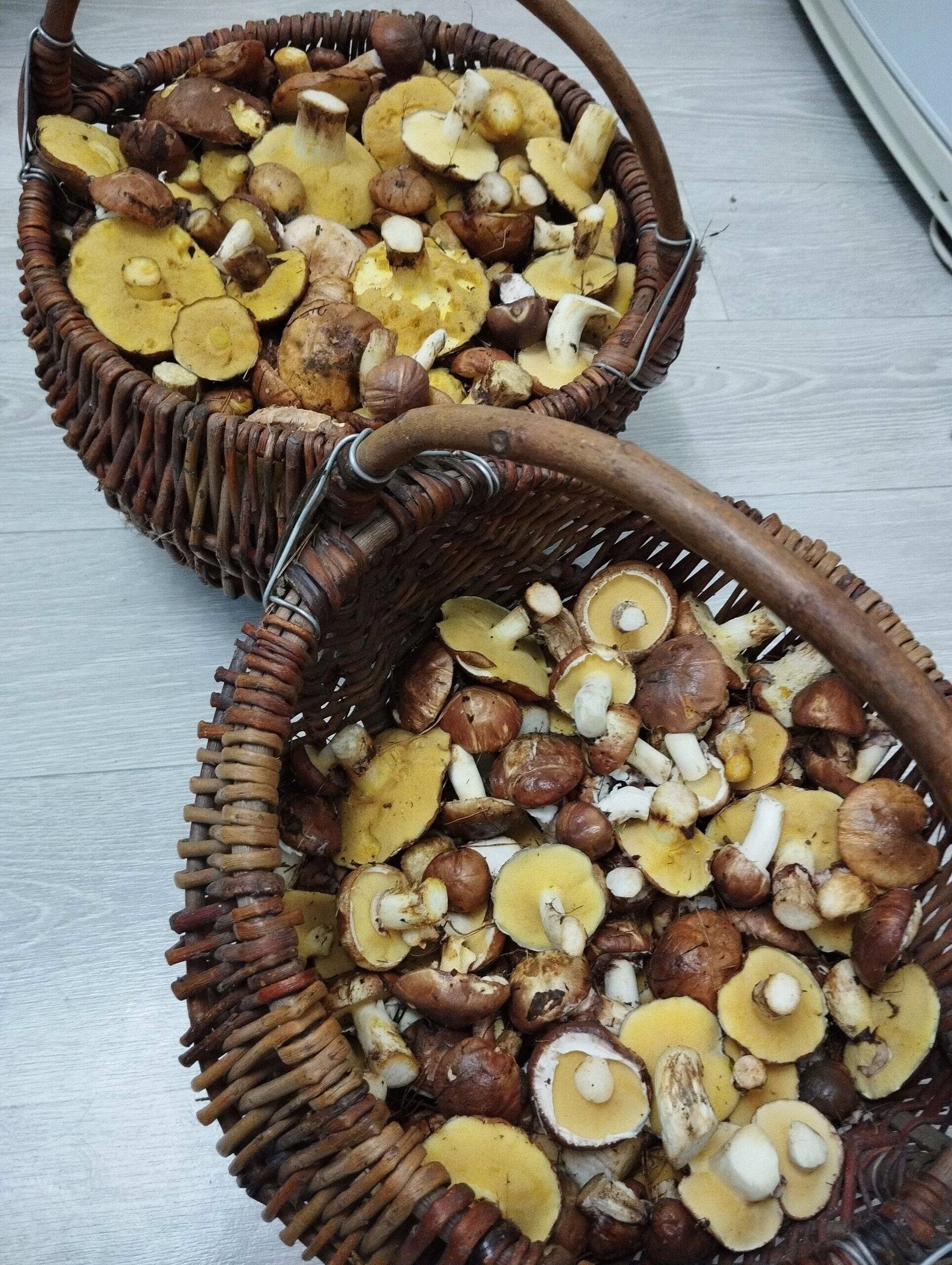 Проект брянской газеты «Красногорская жизнь» «Фотографируют наши читатели»