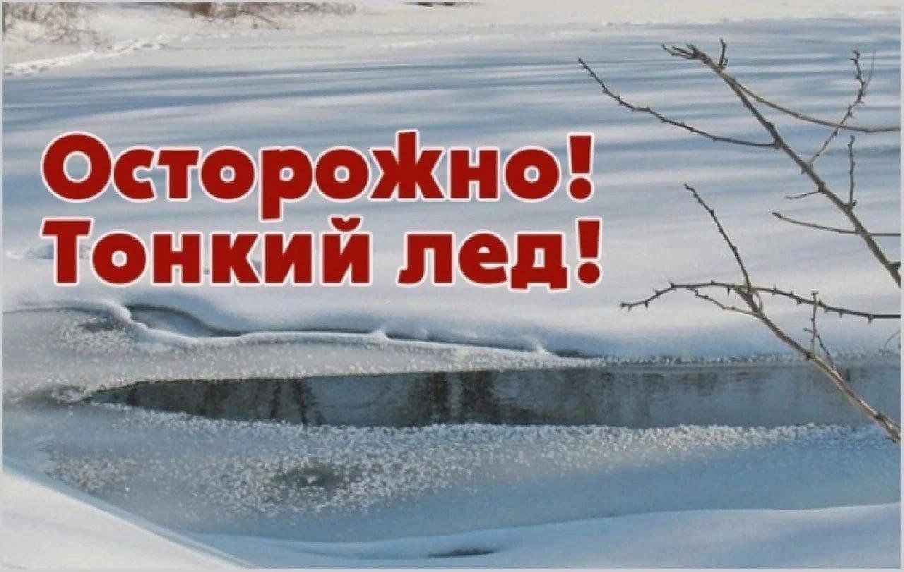 Информация для жителей Красногорского района Брянщины