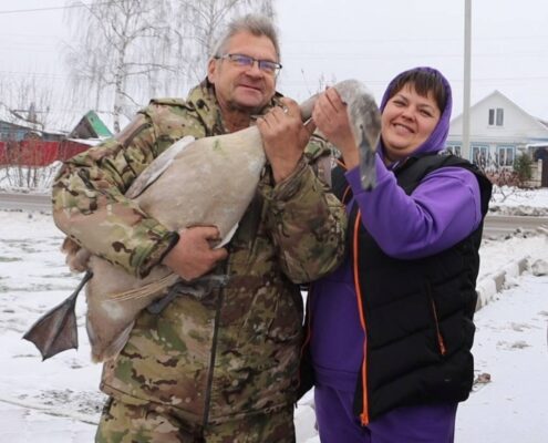 В брянском Стародубе раненный лисицей лебедь пришел к людям