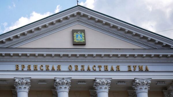 Социальный бюджет Брянской области в облдуме поддержали большинством голосов