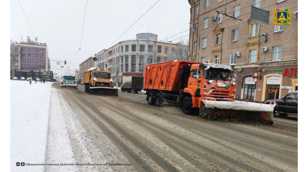 Коммунальные и дорожные службы Брянщины устраняют последствия снегопада
