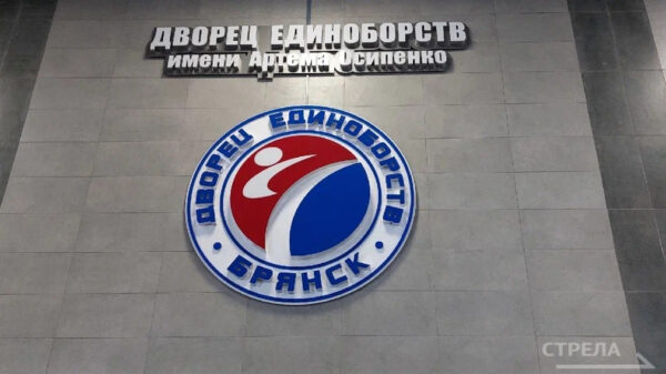 Брянск примет турнир по армейскому рукопашному бою