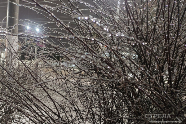 Энергетики «Брянскэнерго» подготовлены к работе в условиях непогоды