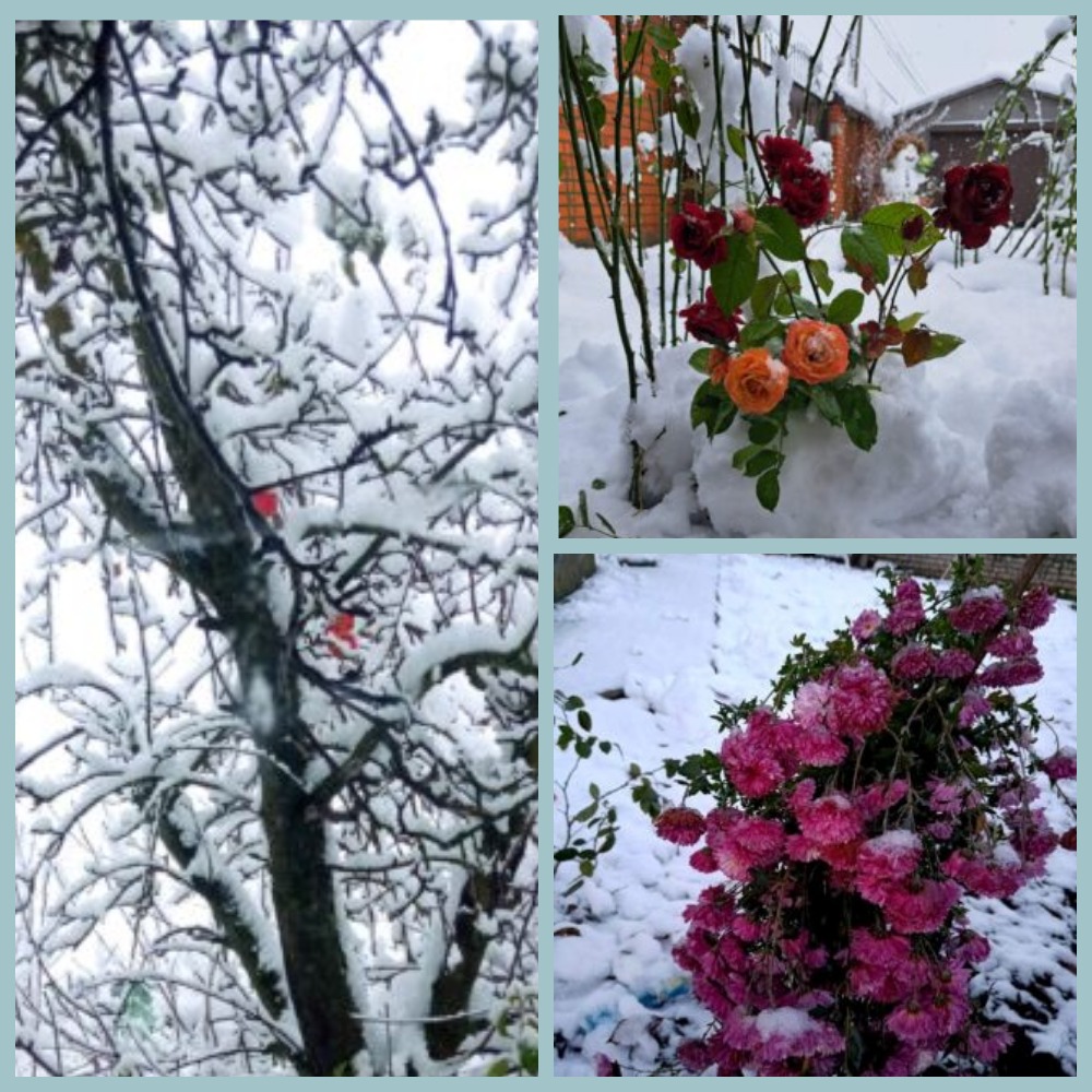 Проект брянской газеты «Красногорская жизнь» «Фотографируют наши читатели»