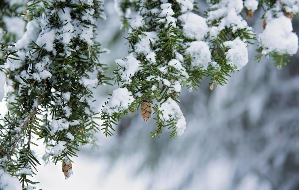 Народный календарь. Приметы
