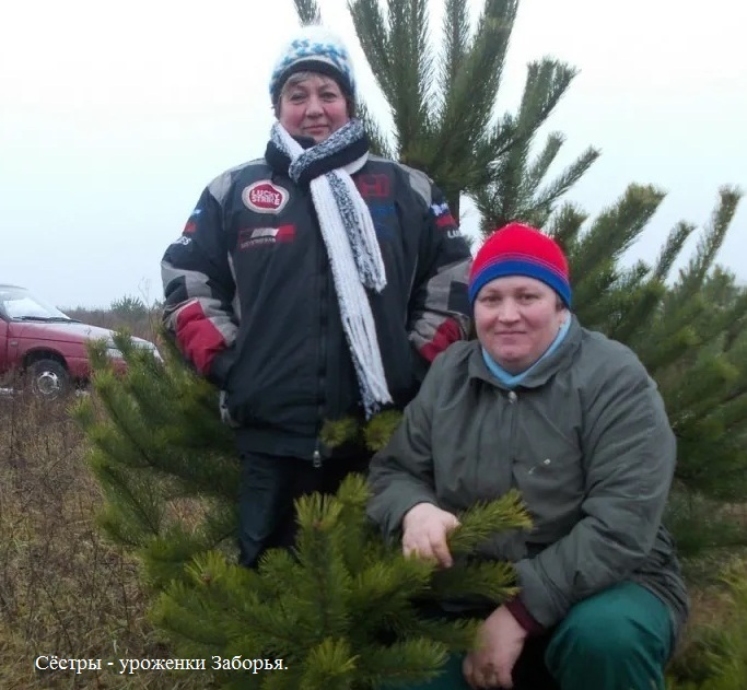 С верой и любовью: уроженцы Красногорского района Брянщины – для наших защитников