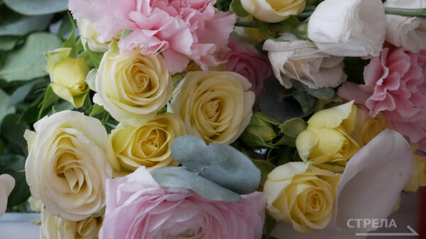 Проект «Герои Брянщины» получил грантовую поддержку