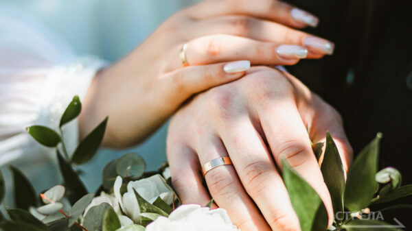 Медалью «За любовь и верность» в брянском регионе награждены 56 супружеских пар