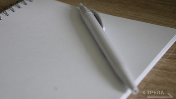 Брянские депутаты рассмотрели вопрос о строительстве нового здания для регионального госархива