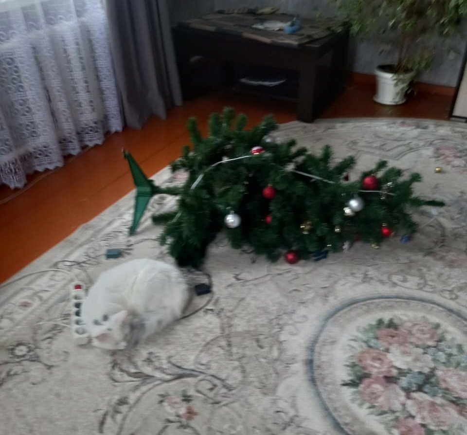 Проект брянской газеты «Красногорская жизнь» «Фотографируют наши читатели»