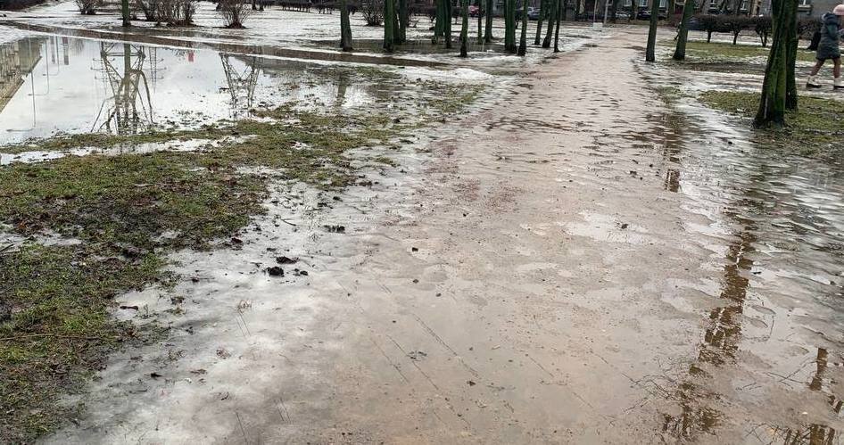 Погода на 11 января на брянской Красногорщине