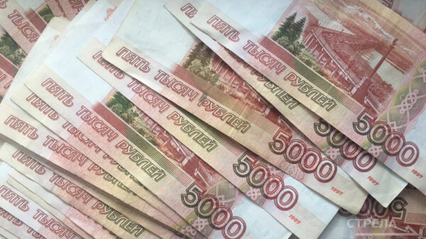 В брянском регионе будут приравнены льготы участников спецоперации и локальных конфликтов