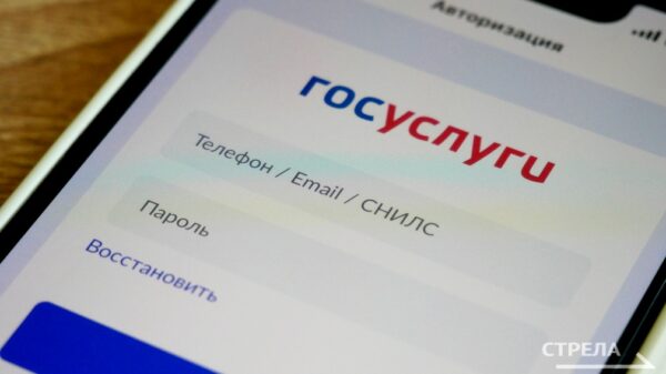 Для жителей брянского региона удобен широкий функционал приложения Госуслуги.Дом