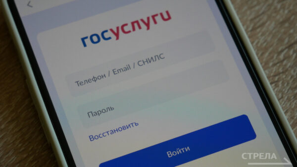 Жителям брянского региона доступна функция гостевого режима в приложении Госуслуги.Дом