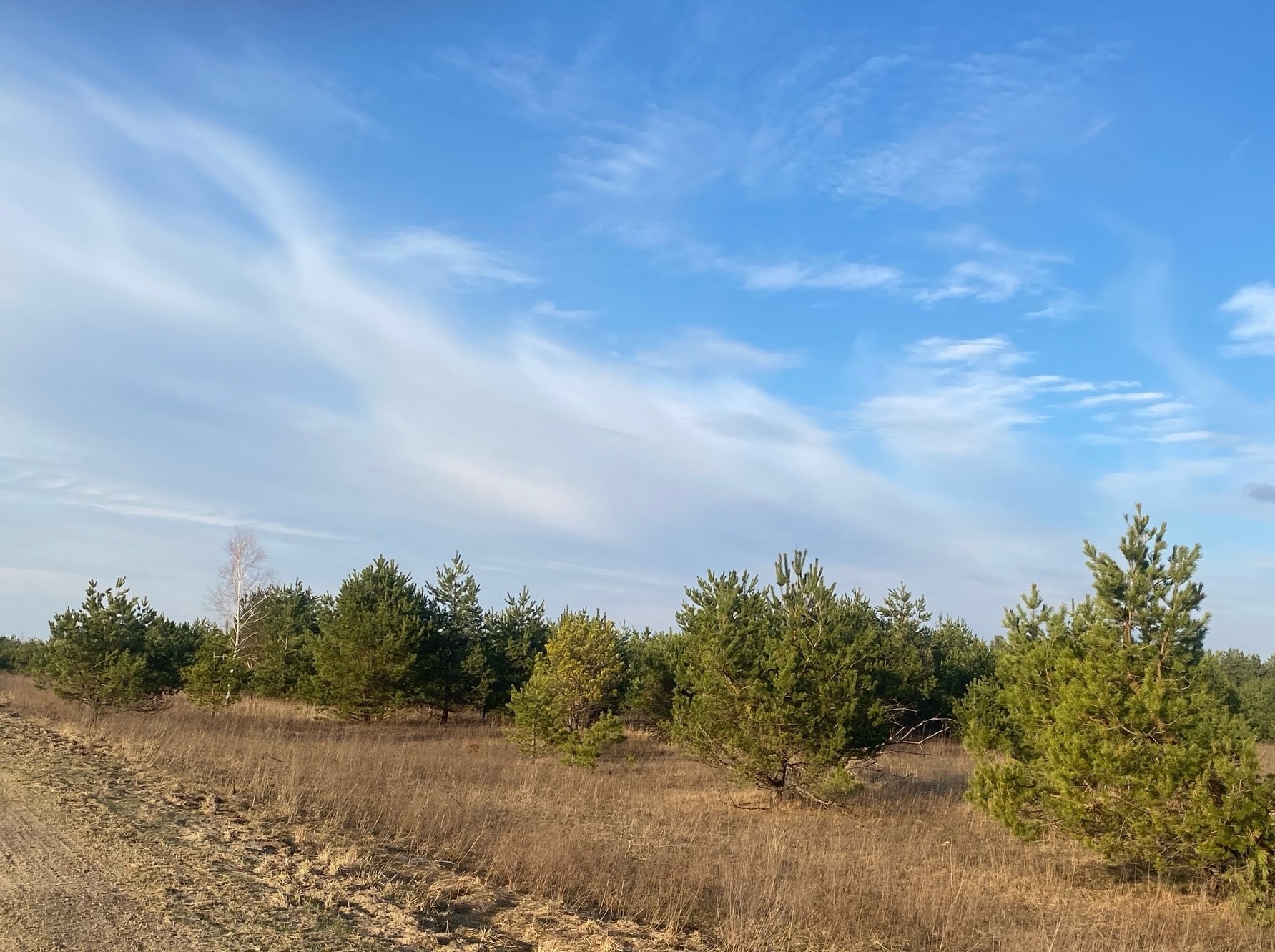 Погода на 29 марта на брянской Красногорщине