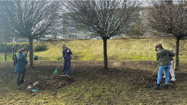 В Брянске дорожники провели уборку в парке «Звездный»