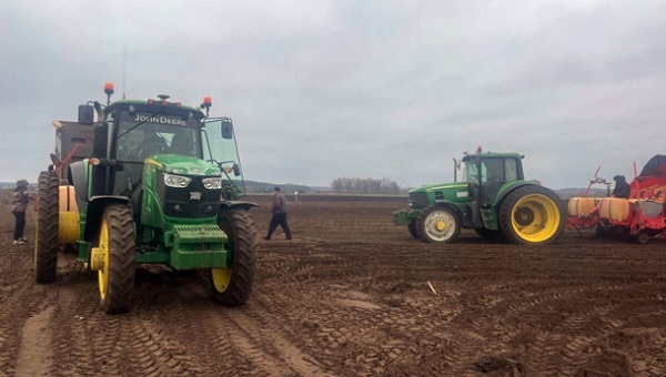 Аграрии брянского региона приступили к посадке раннего картофеля