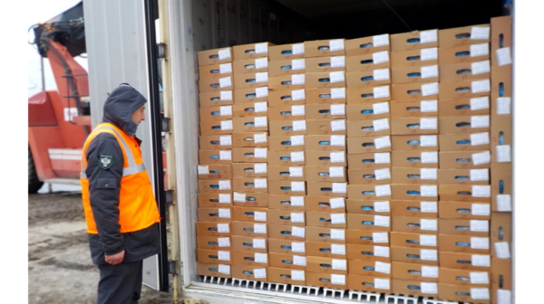 Брянщина за 2 месяца экспортировала 15 тыс. тонн животноводческой продукции