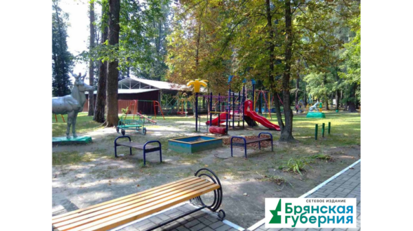 Жители Брянщины  выберут общественные пространства для благоустройства