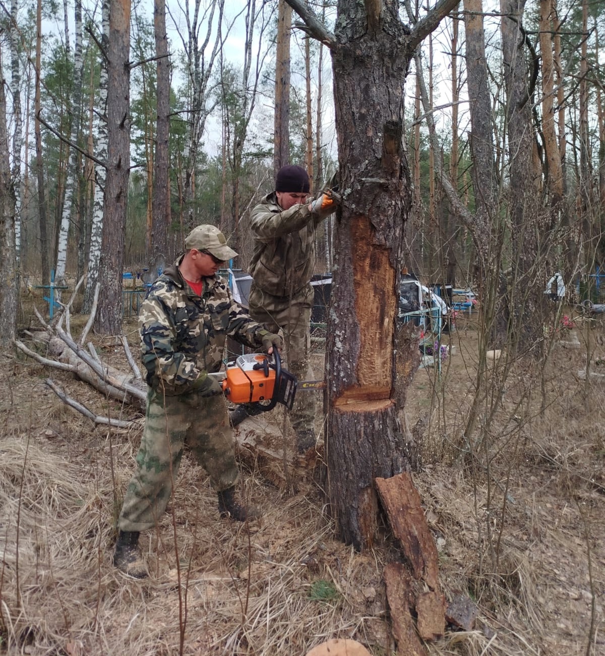 Вести из Макаричского сельского поселения брянской Красногорщины