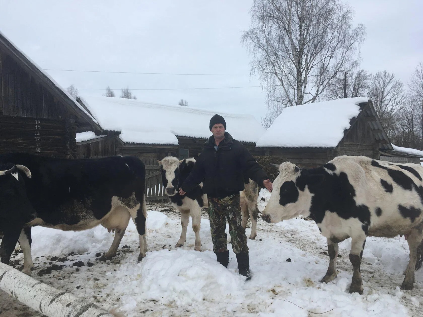 Проект  брянской газеты «Красногорская жизнь» «Фотографируют наши читатели»