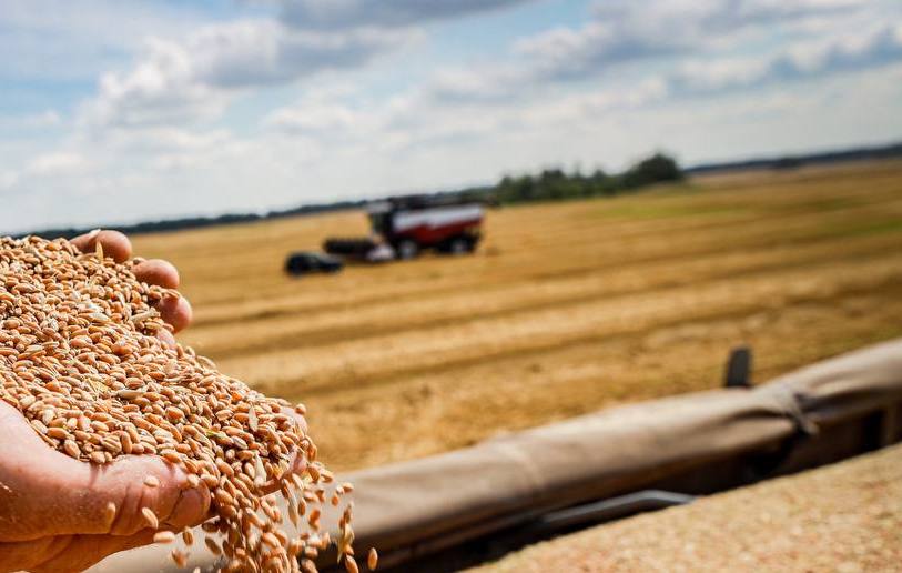 Информация для жителей брянской Красногорщины