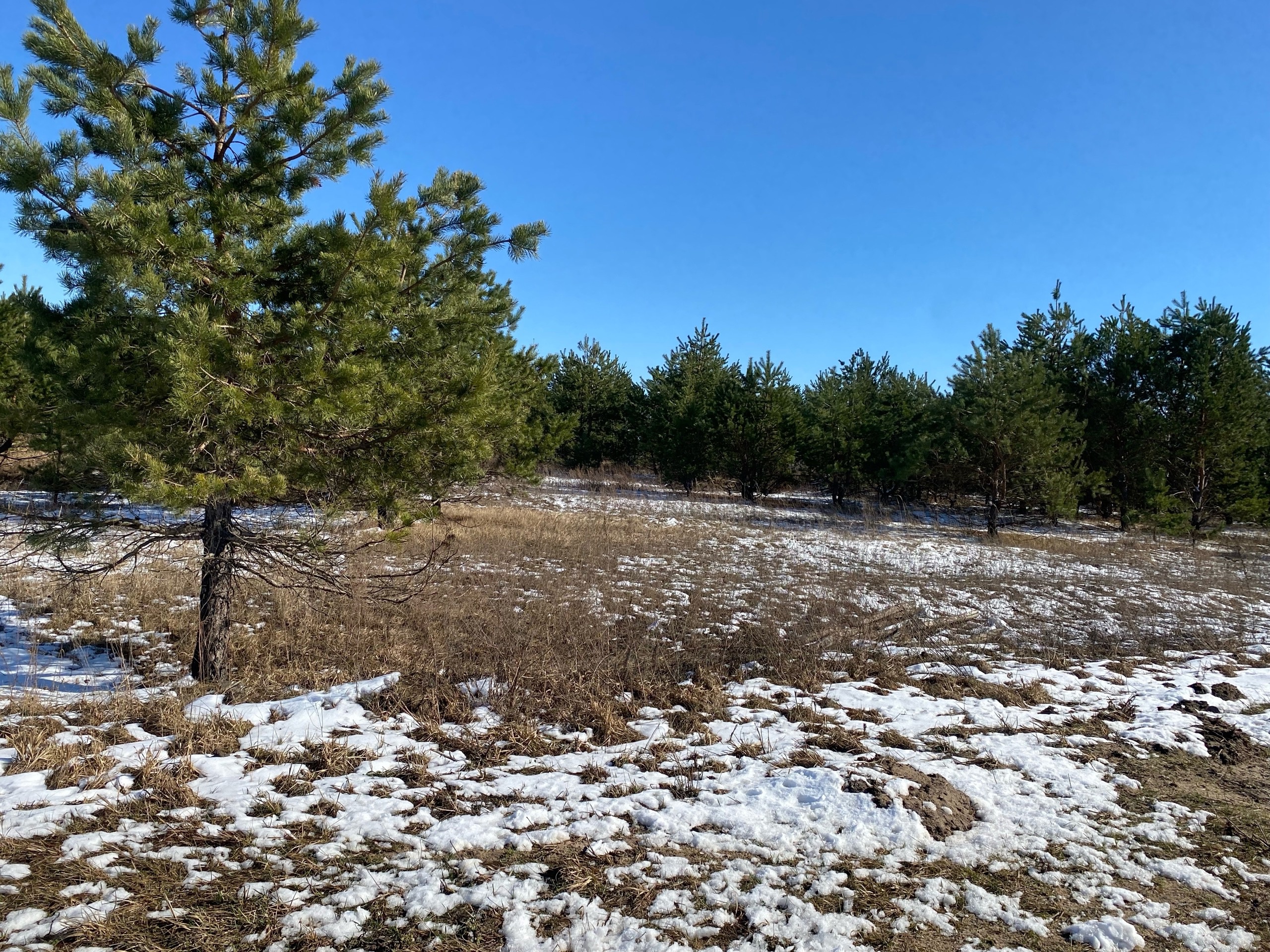 Погода на 17 марта на брянской Красногорщине