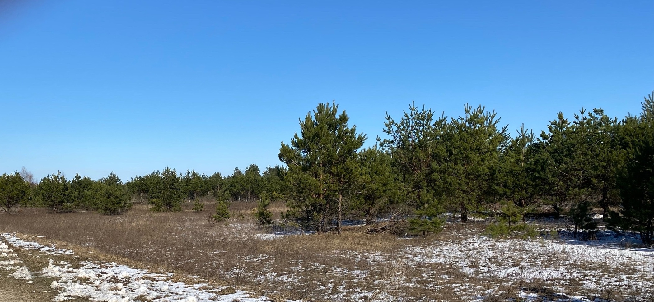 Погода на 6 апреля на брянской Красногорщине