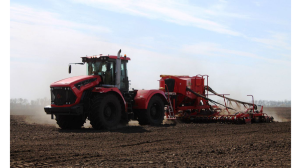 На Брянщине в этом году посевные площади превысят 850 тыс. га