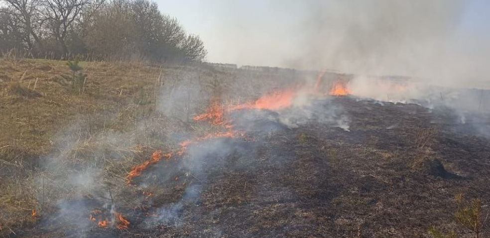 Жителям брянской Красногорщины об ответственности за травяные палы