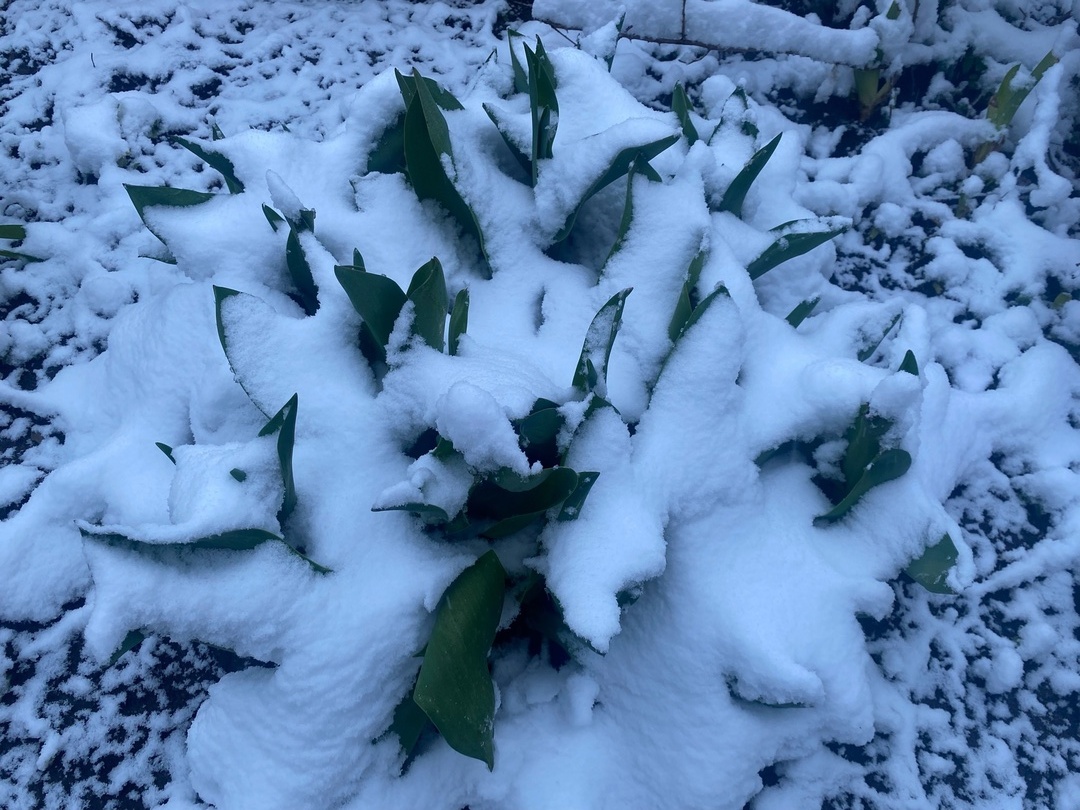 Погода на 7 апреля на брянской Красногорщине