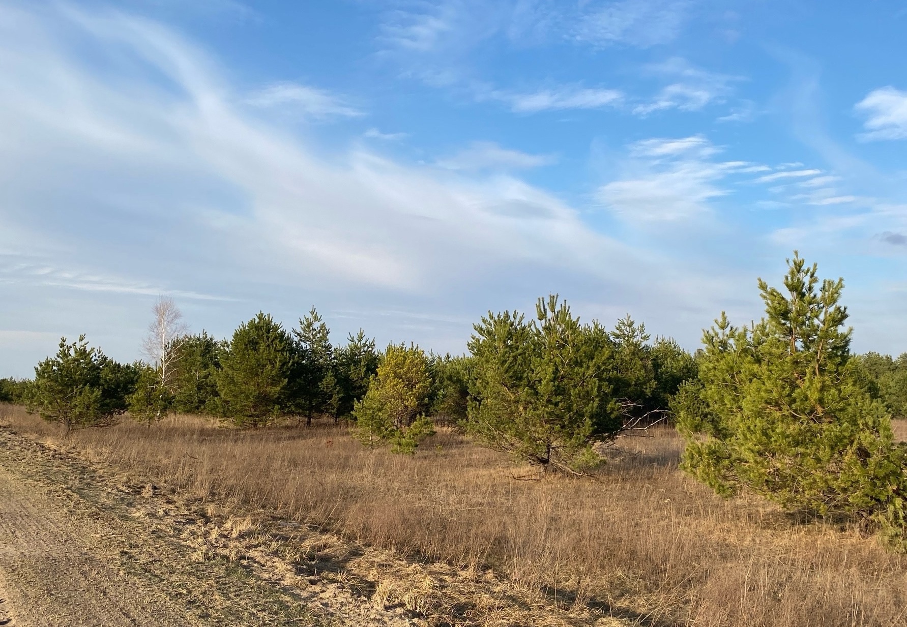 Погода на 15 апреля на брянской Красногорщине