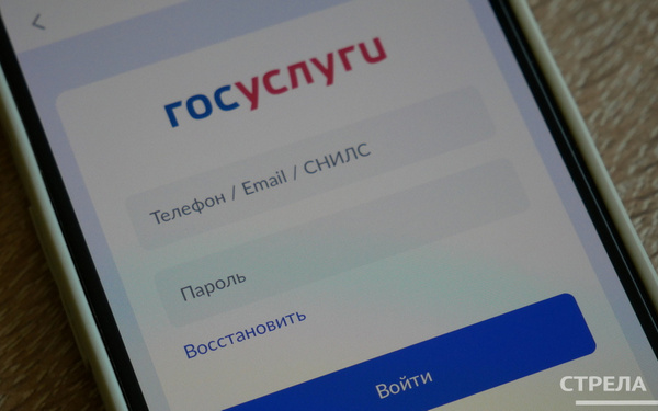 Приложение Госуслуги.Дом помогает жителям Брянщины в решении бытовых вопросов