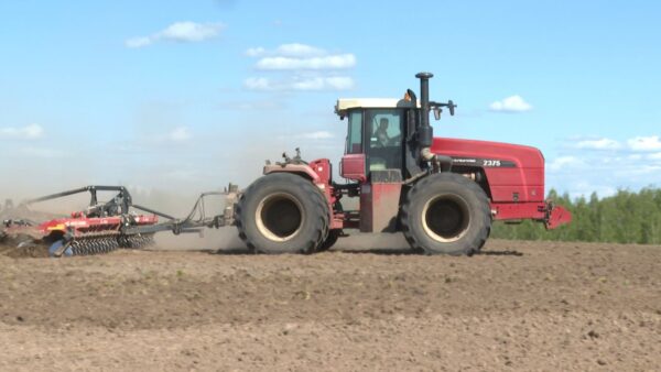 Аграрии Брянщины завершили весеннюю посевную кампанию