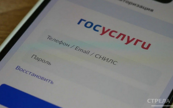 Жители брянского региона решают вопросы ЖКХ в приложении «Госуслуги.Дом»