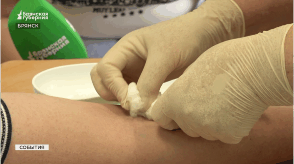 В Брянске идет подготовка к открытию филиала Первого медуниверситета им.И.М. Сеченова