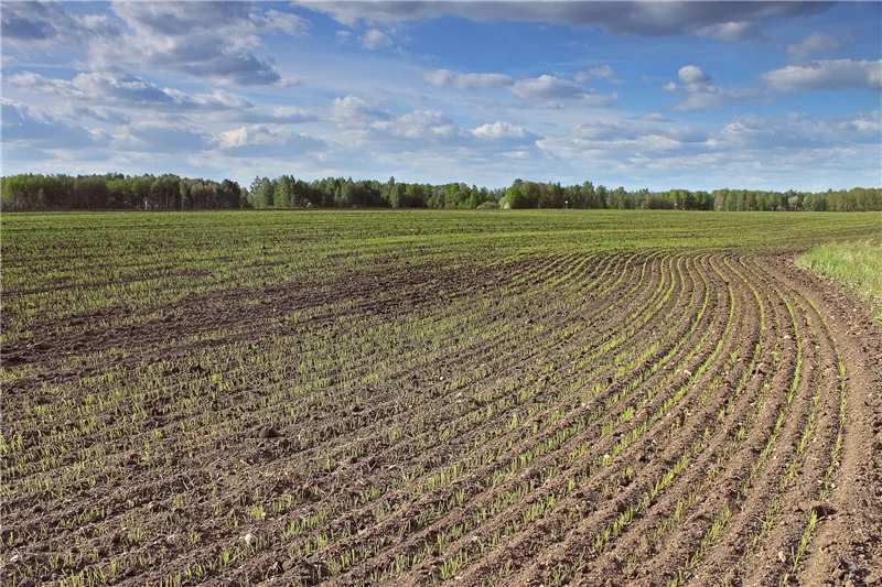 Без весенних трудов не будет осенних плодов – считают красногорские аграрии Брянщины