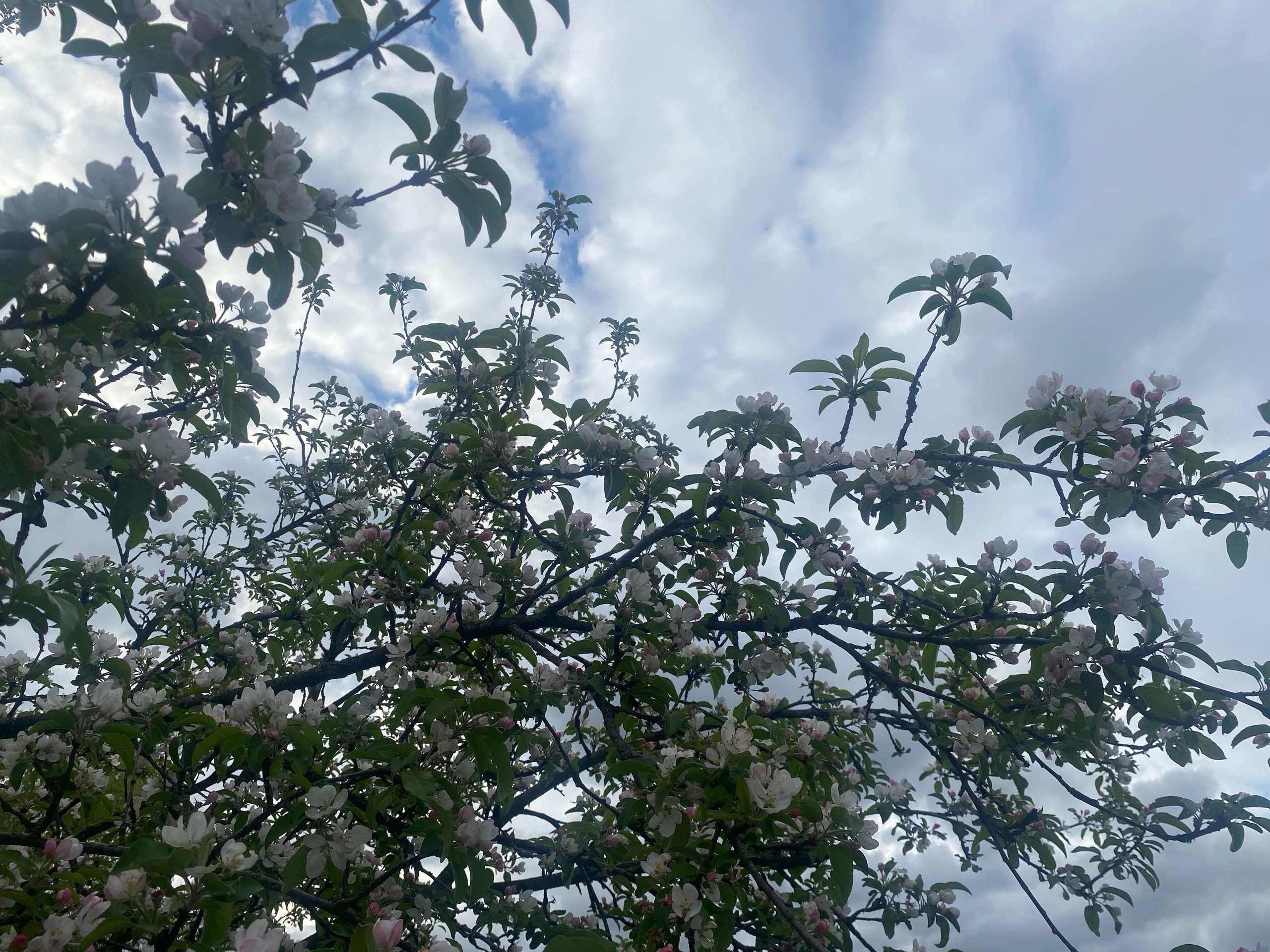 Погода на 6 мая на брянской Красногорщине