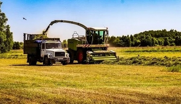 В Севском районе Брянщины в полную мощность заработал «зеленый конвейер»  