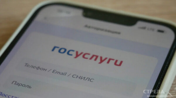 Приложение «Госуслуги.Дом» помогает жителям брянского региона в решении бытовых проблем 