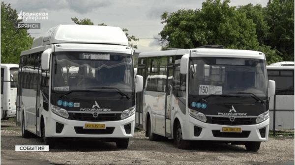 Брянская автоколонна 1403 показала слаженную работу во время трагедии под Выгоничами