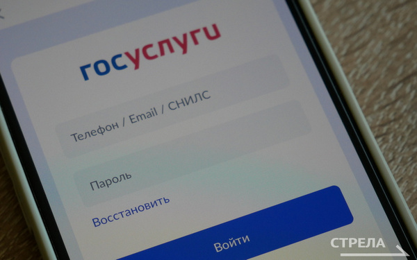 Жители брянского региона могут осуществлять контроль коммунальные услуги через приложение Госуслуги.Дом