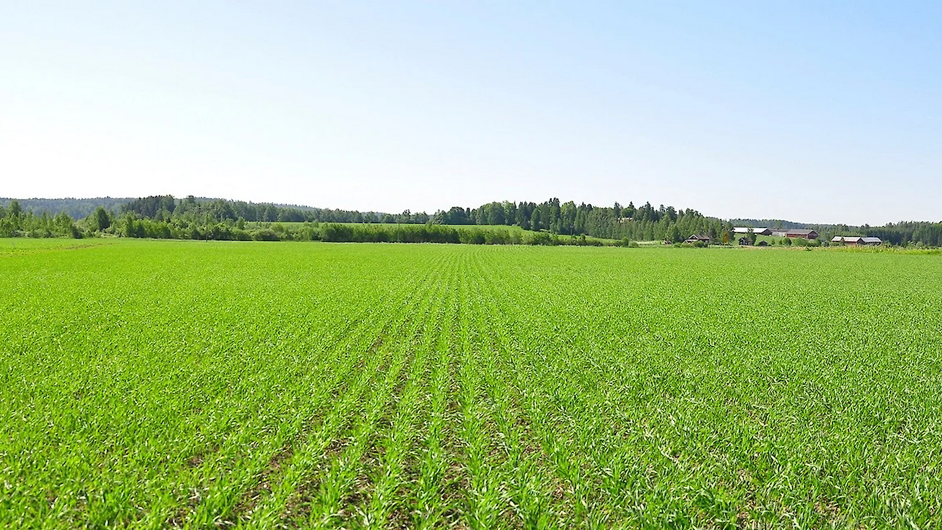 Информация для жителей брянской Красногорщины