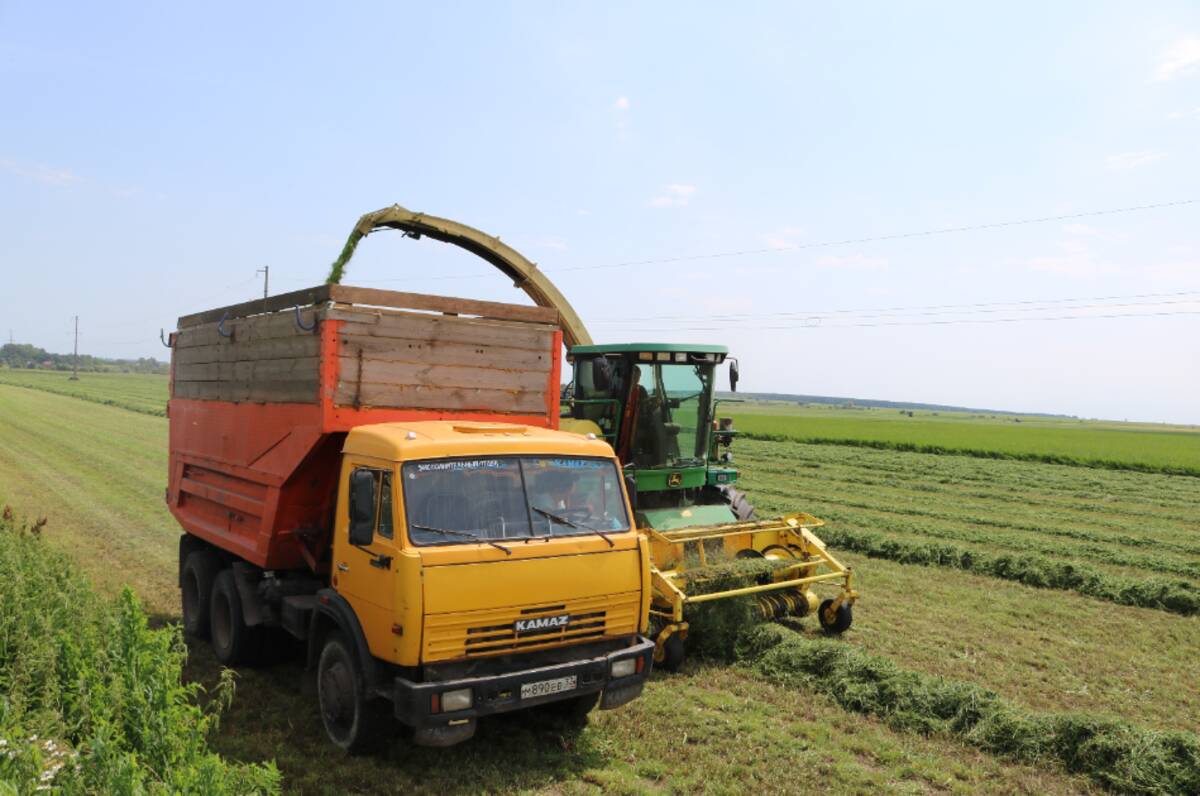 В брянских Комаричах активно идёт заготовка кормов